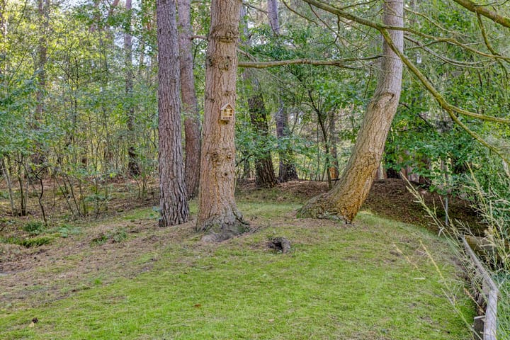 Foto 4 van 't Hertenspoor 131