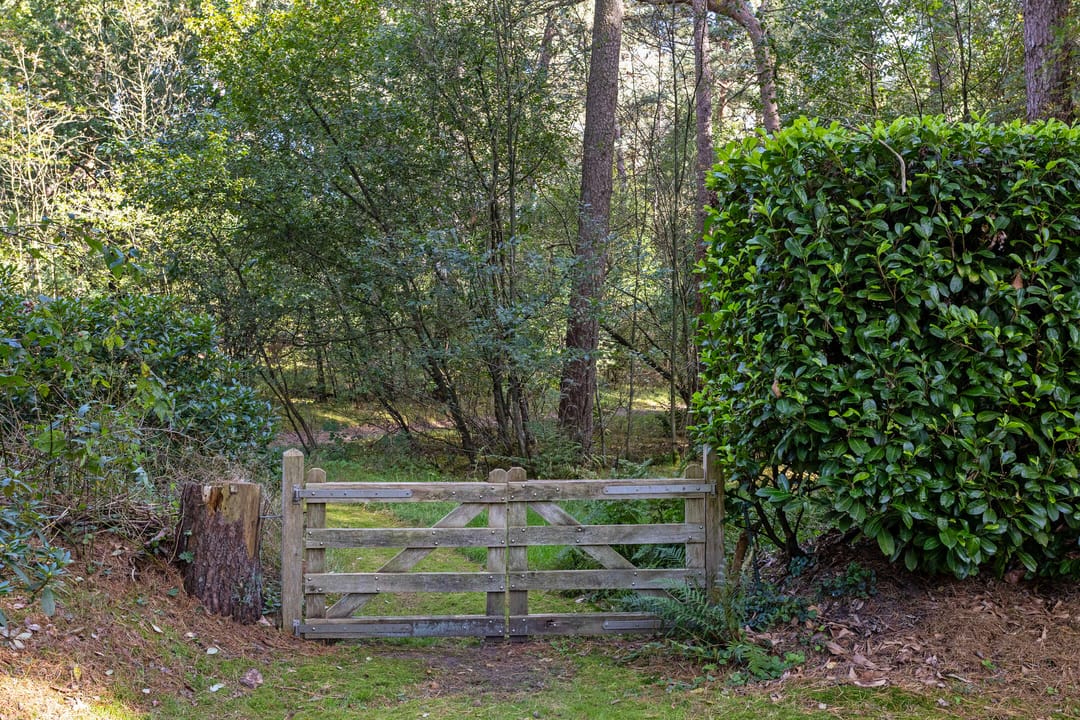 Foto 37 van 't Hertenspoor 131