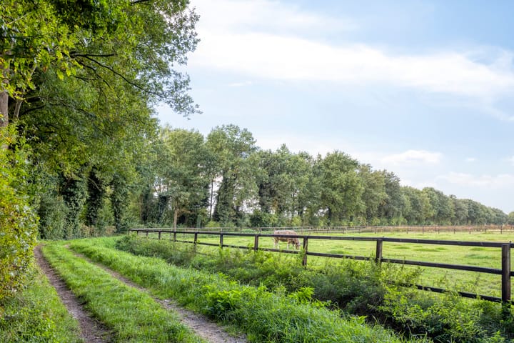 Foto 70 van Voorbolst 3-A