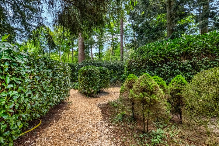 Photo 43 of Putterweg 52