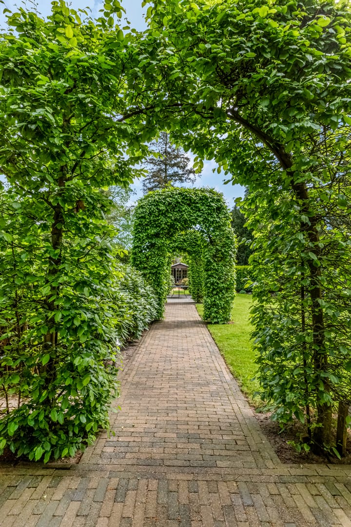 Photo 46 of Putterweg 52