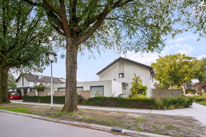 Foto 3 van Einthovenstraat 1