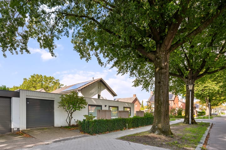 Foto 36 van Einthovenstraat 1