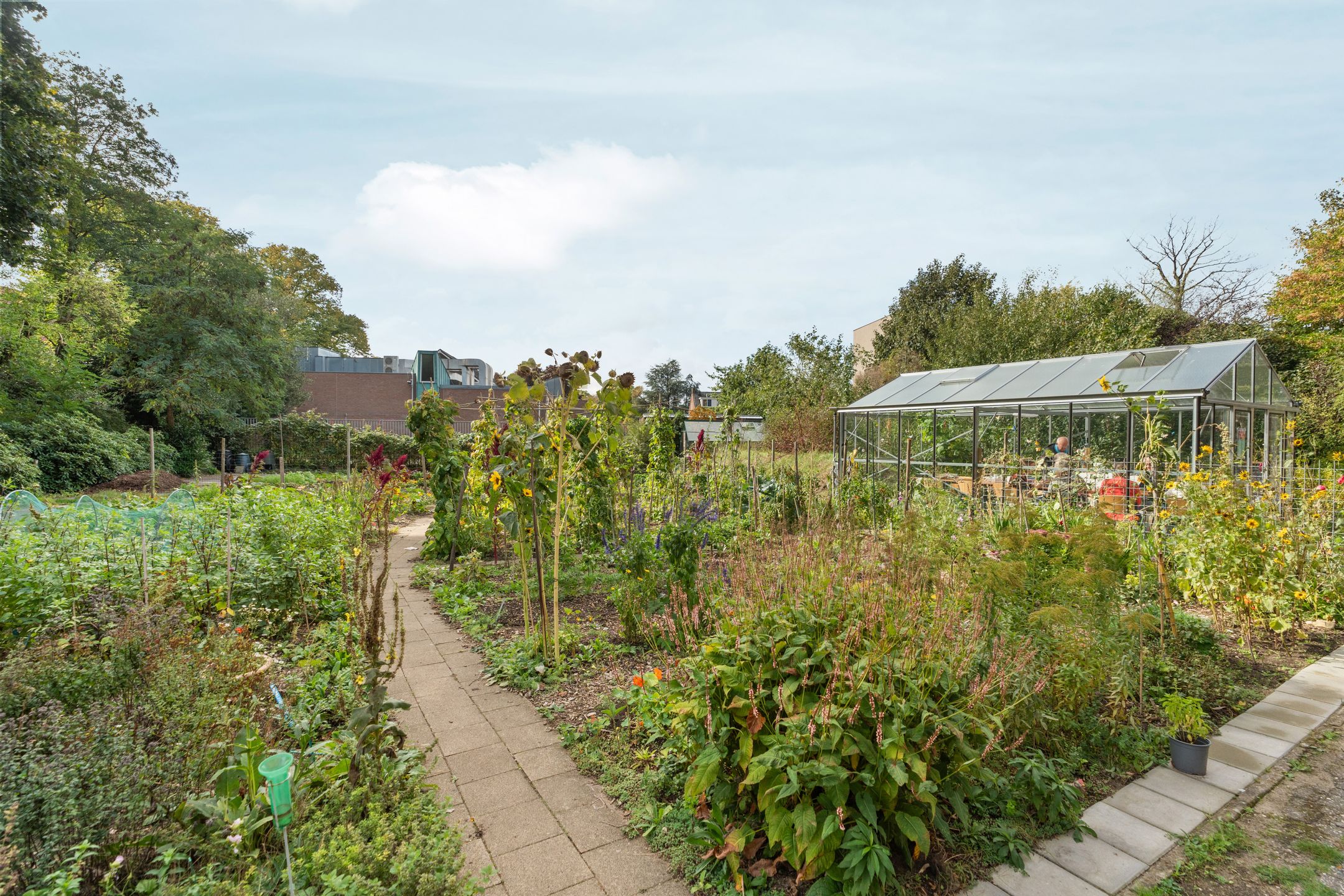 Foto 36 van Hatertseweg 155