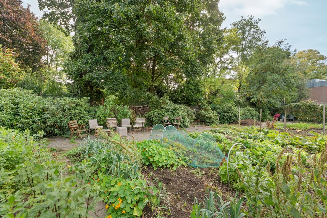 Foto 37 van Hatertseweg 155