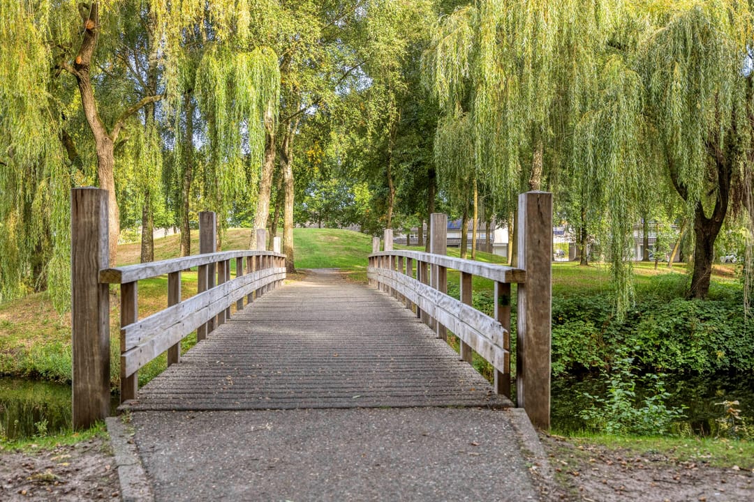 Foto 38 van Doornsingel 37