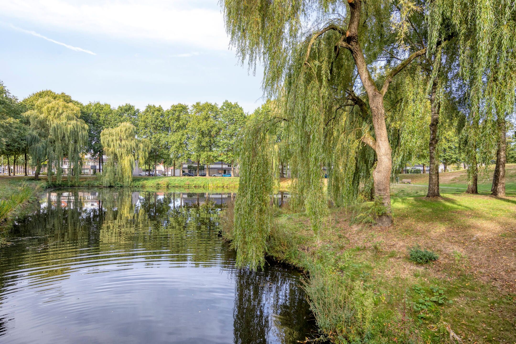 Foto 39 van Doornsingel 37