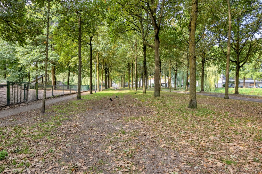 Foto 43 van Doornsingel 37