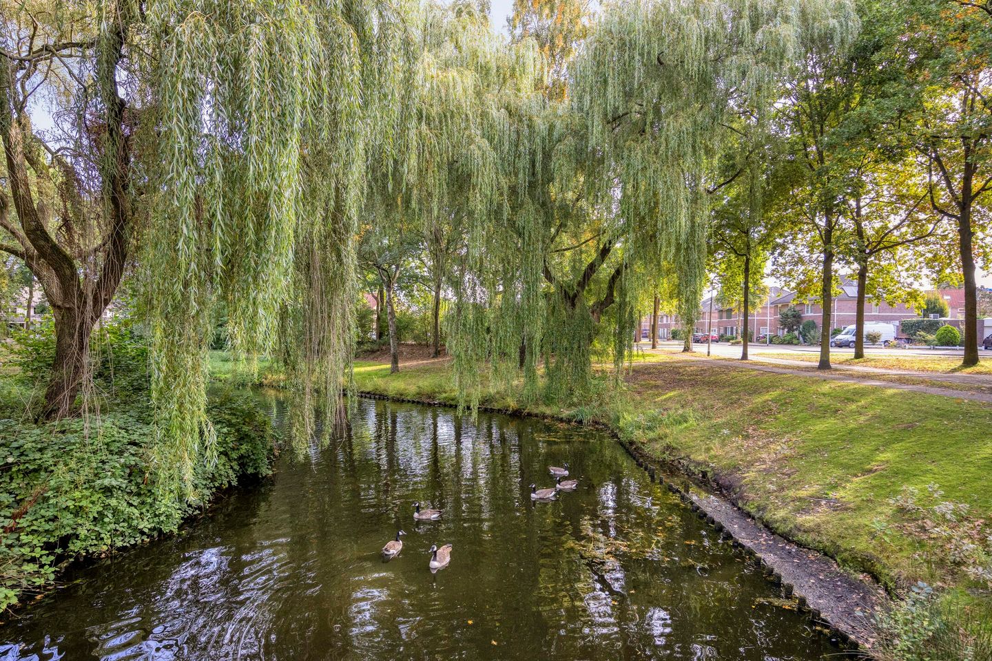 Foto 44 van Doornsingel 37