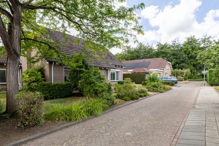 Foto 53 van Henegouwen 4