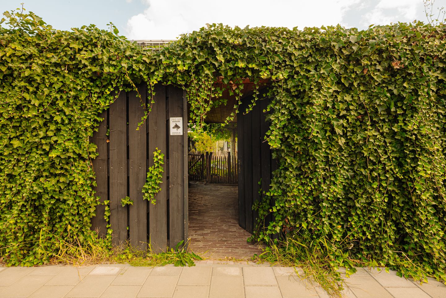 Photo 25 of Kastanjelaan 18