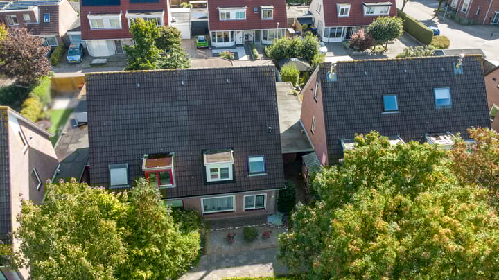 Foto 36 van Rozemarijn 21