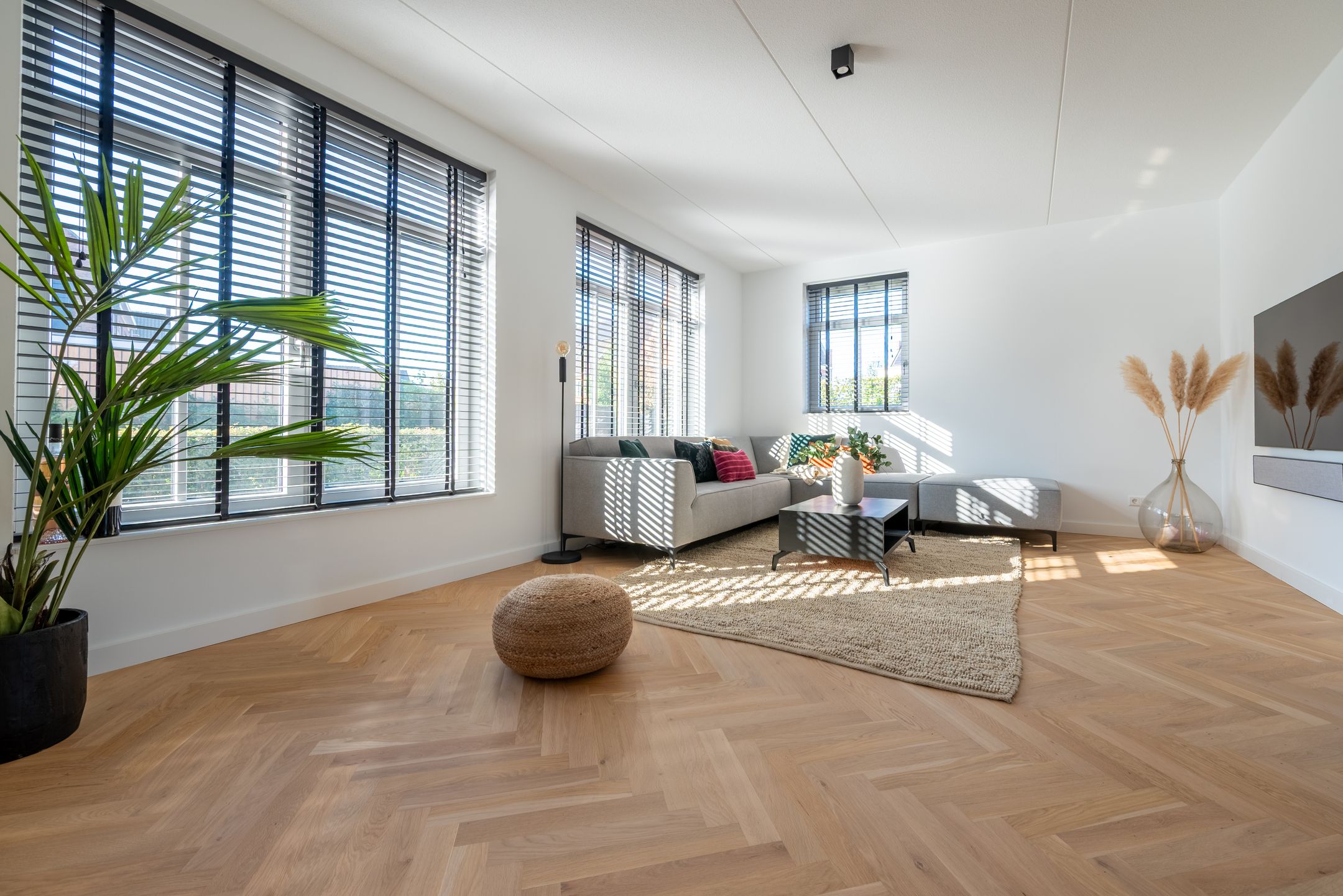 Foto 12 van Generaal 20