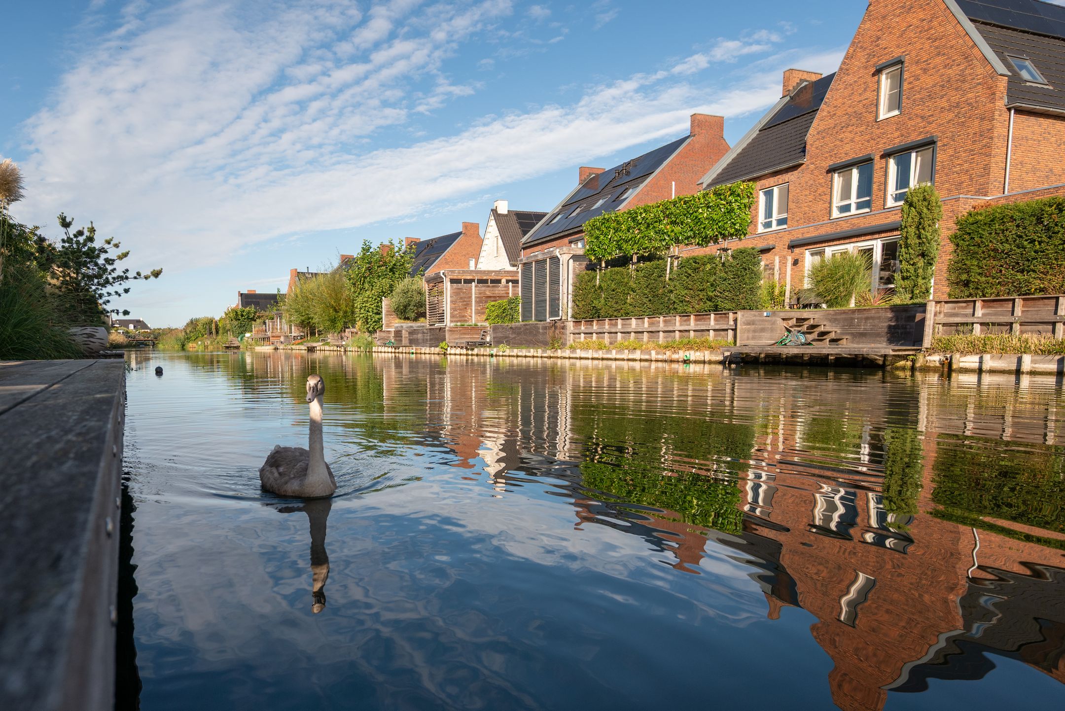 Foto 21 van Generaal 20