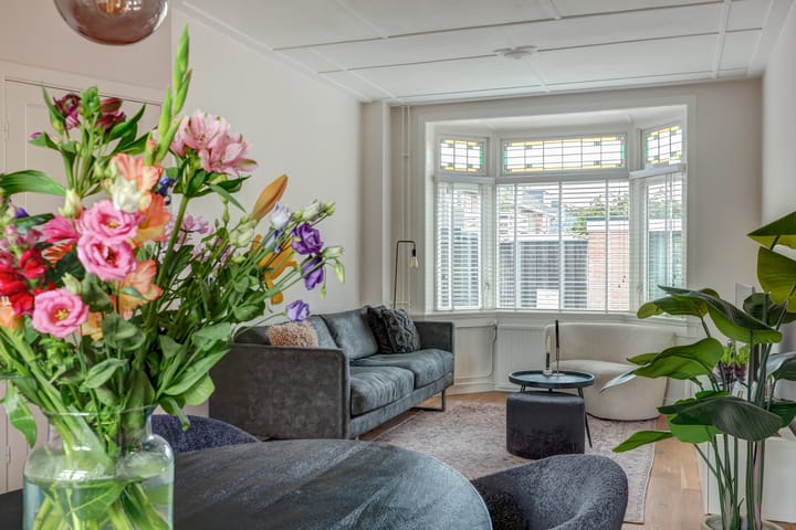 Foto 10 van Van Riebeekstraat 104