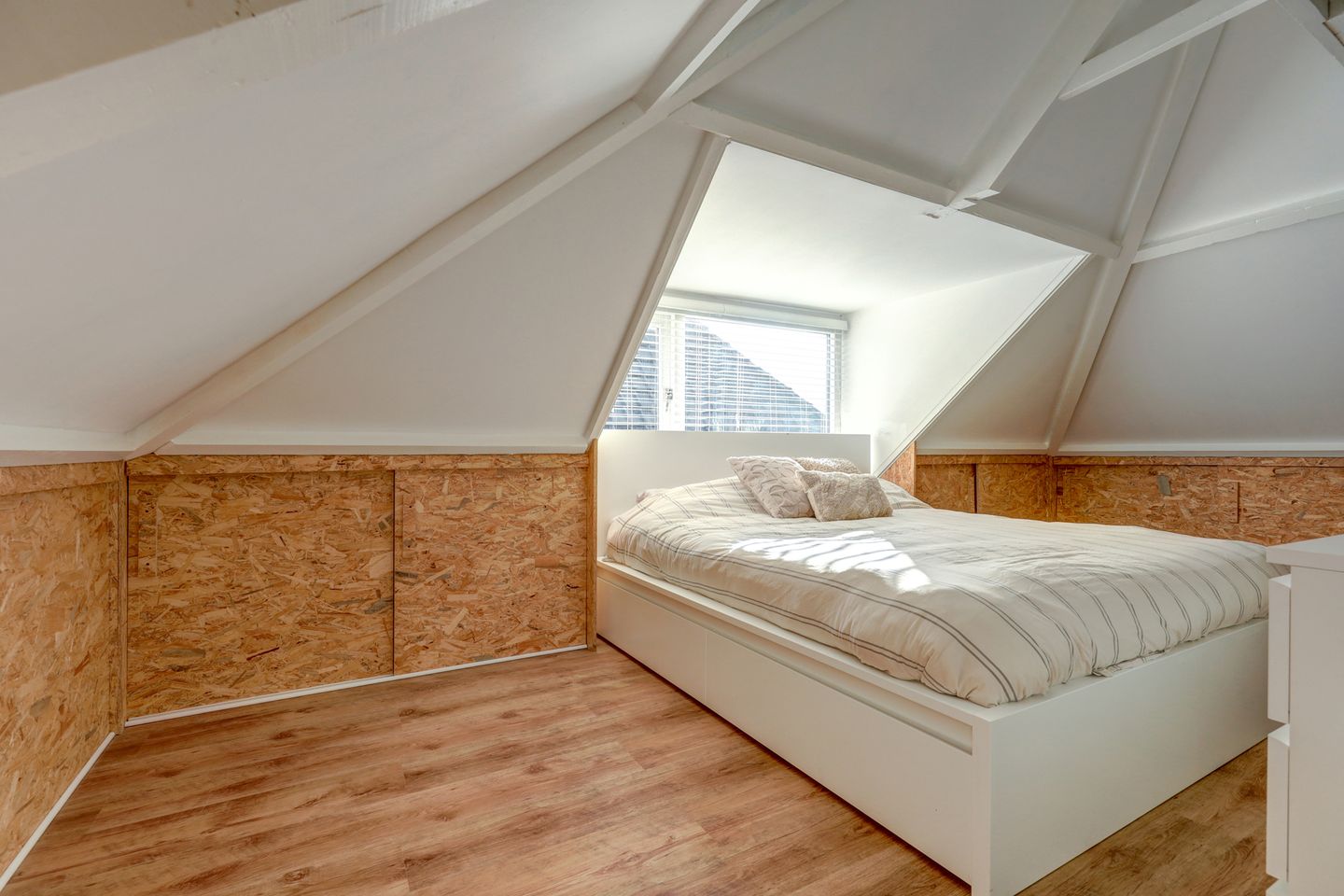 Foto 29 van Van Riebeekstraat 104