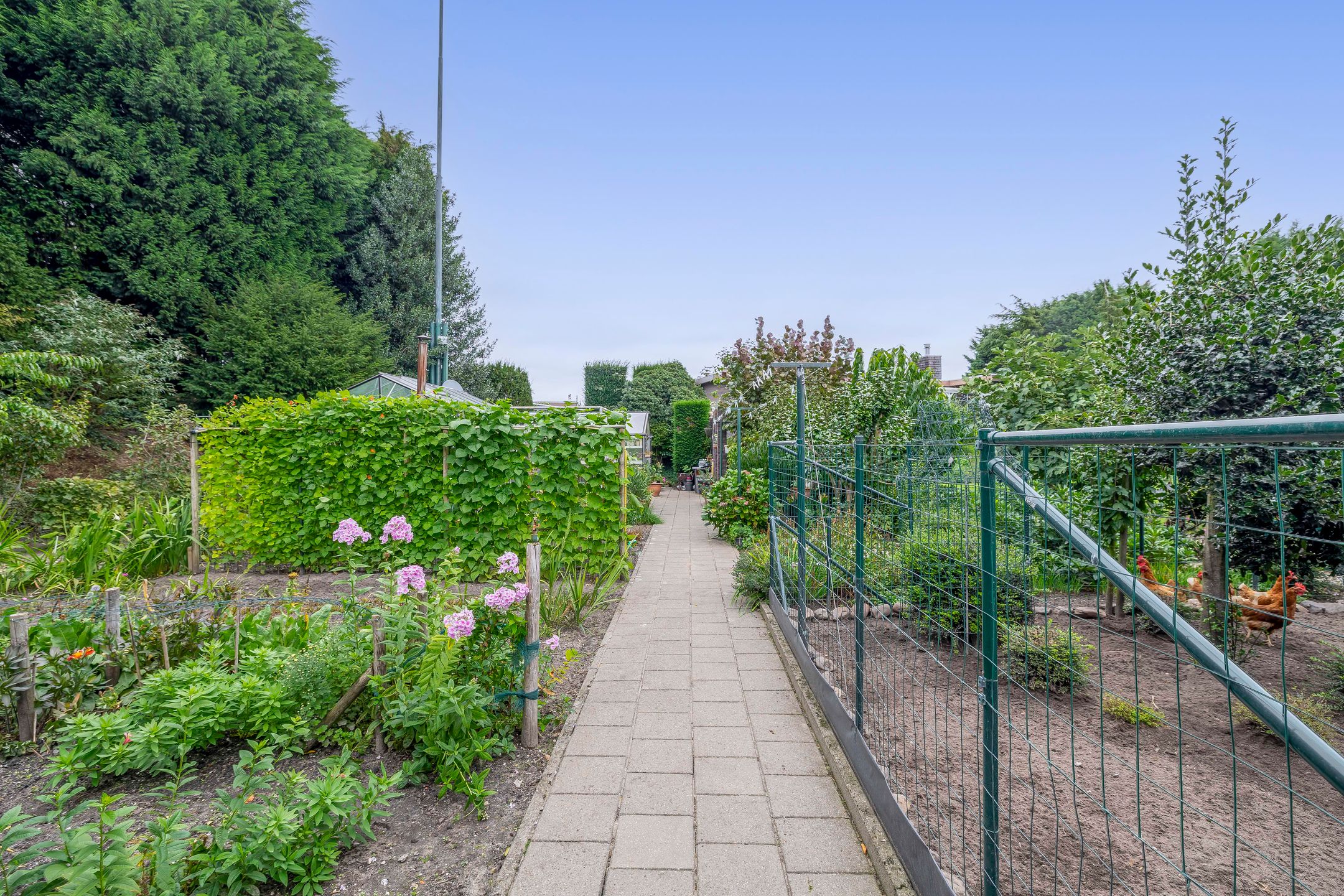 Foto 45 van Bosheideweg 2