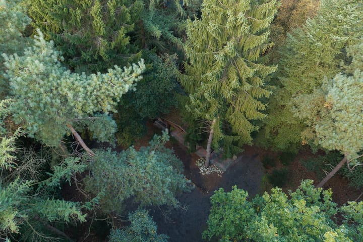 Photo 35 of Dassenpad 15