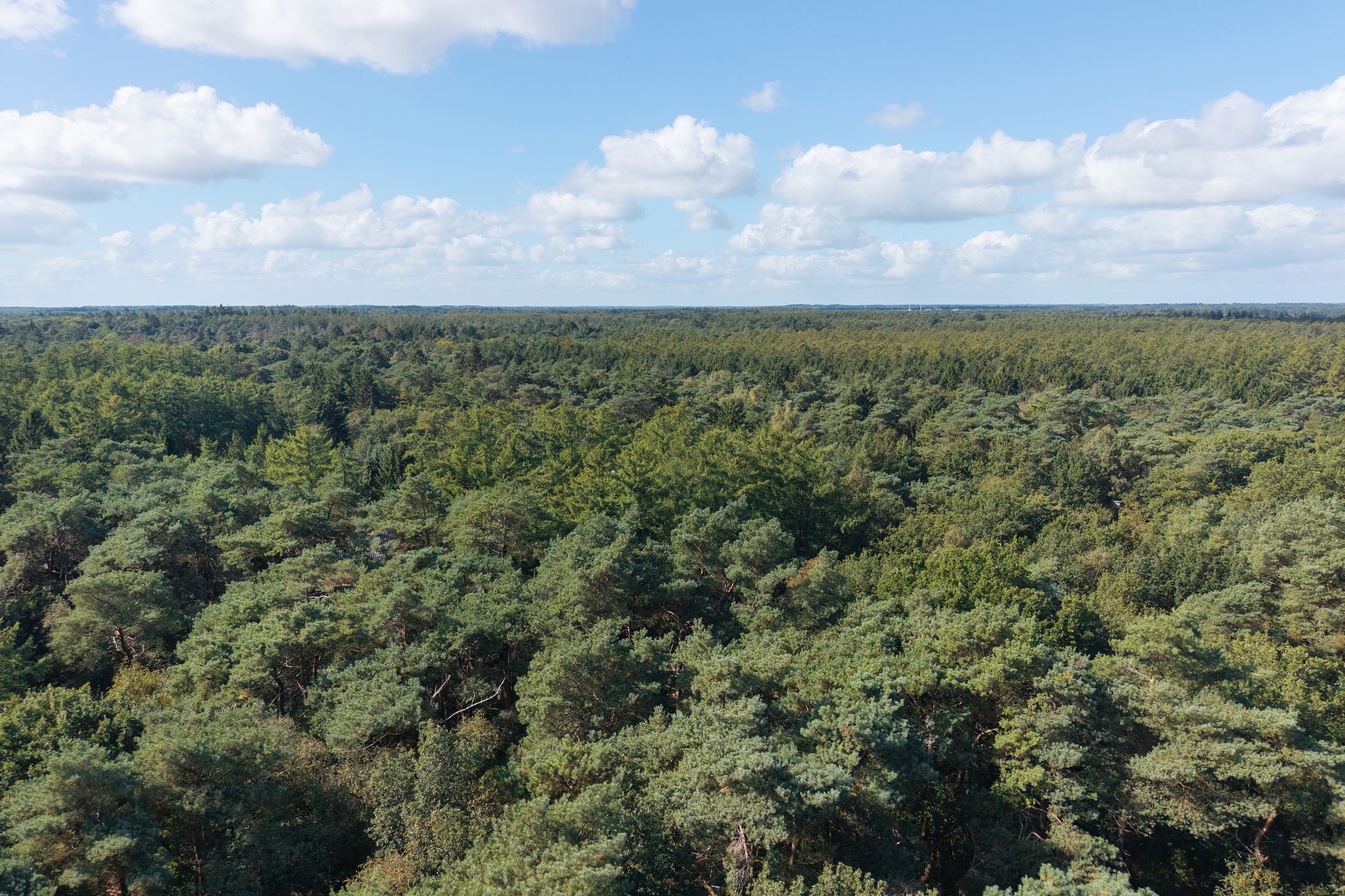 Foto 36 van Dassenpad 15