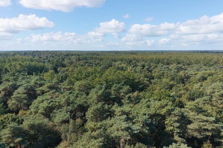 Photo 36 of Dassenpad 15