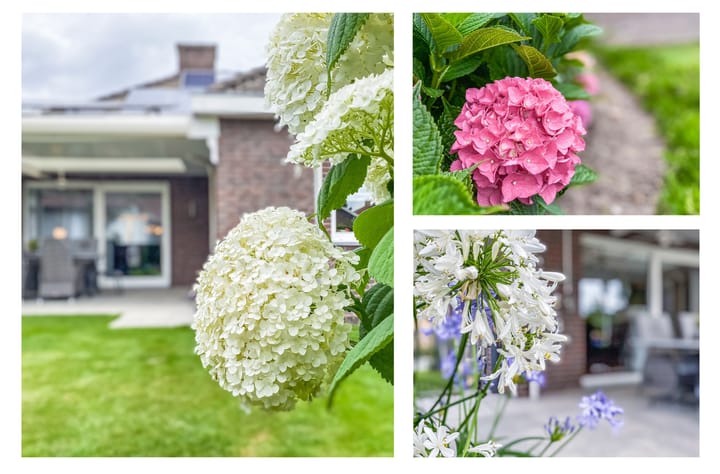 Foto 40 van Beukstraat 4