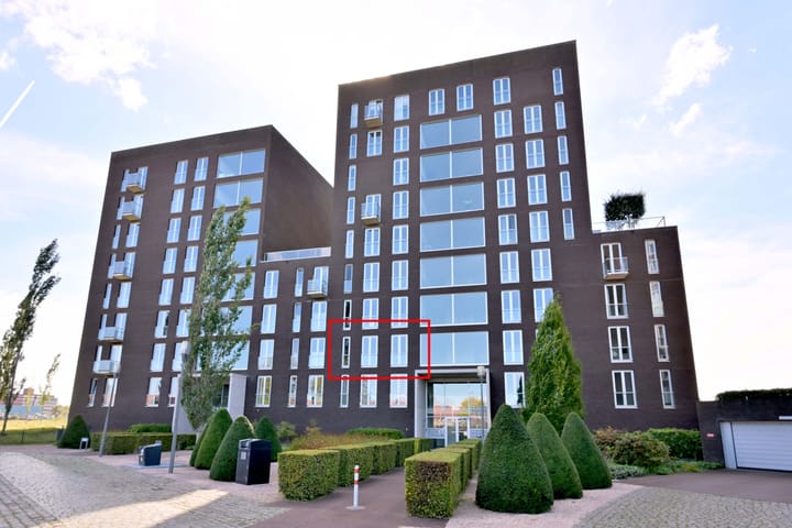 Foto 4 van Pothoofd 204
