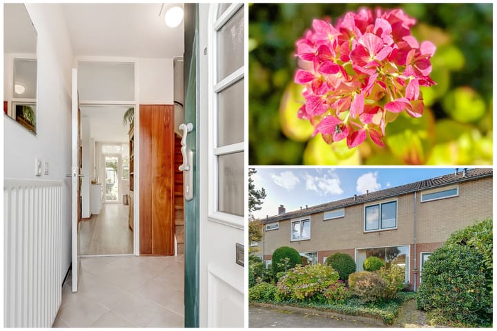 Photo 5 of Comeniushof 122