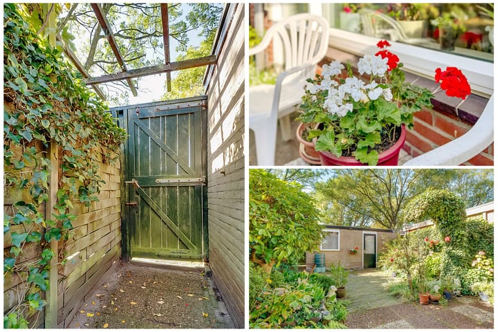 Foto 35 van Comeniushof 122