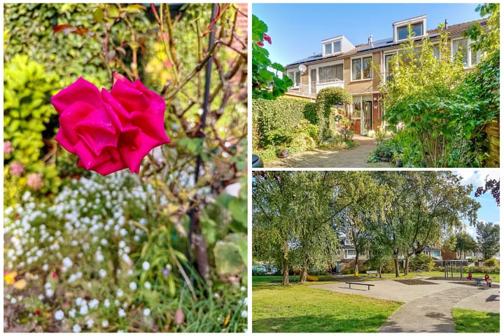 Foto 37 van Comeniushof 122