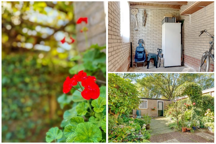 Foto 38 van Comeniushof 122