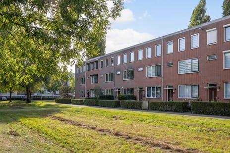 Professor Mekelstraat thumbnail