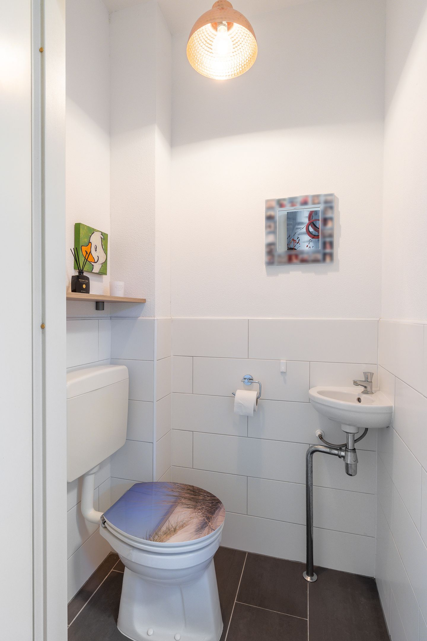 Foto 10 van Professor Mekelstraat 59