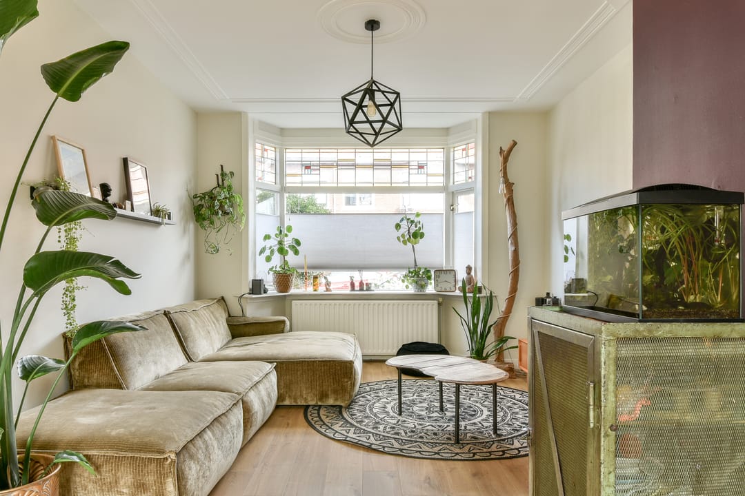 Foto 2 van Obrechtstraat 13