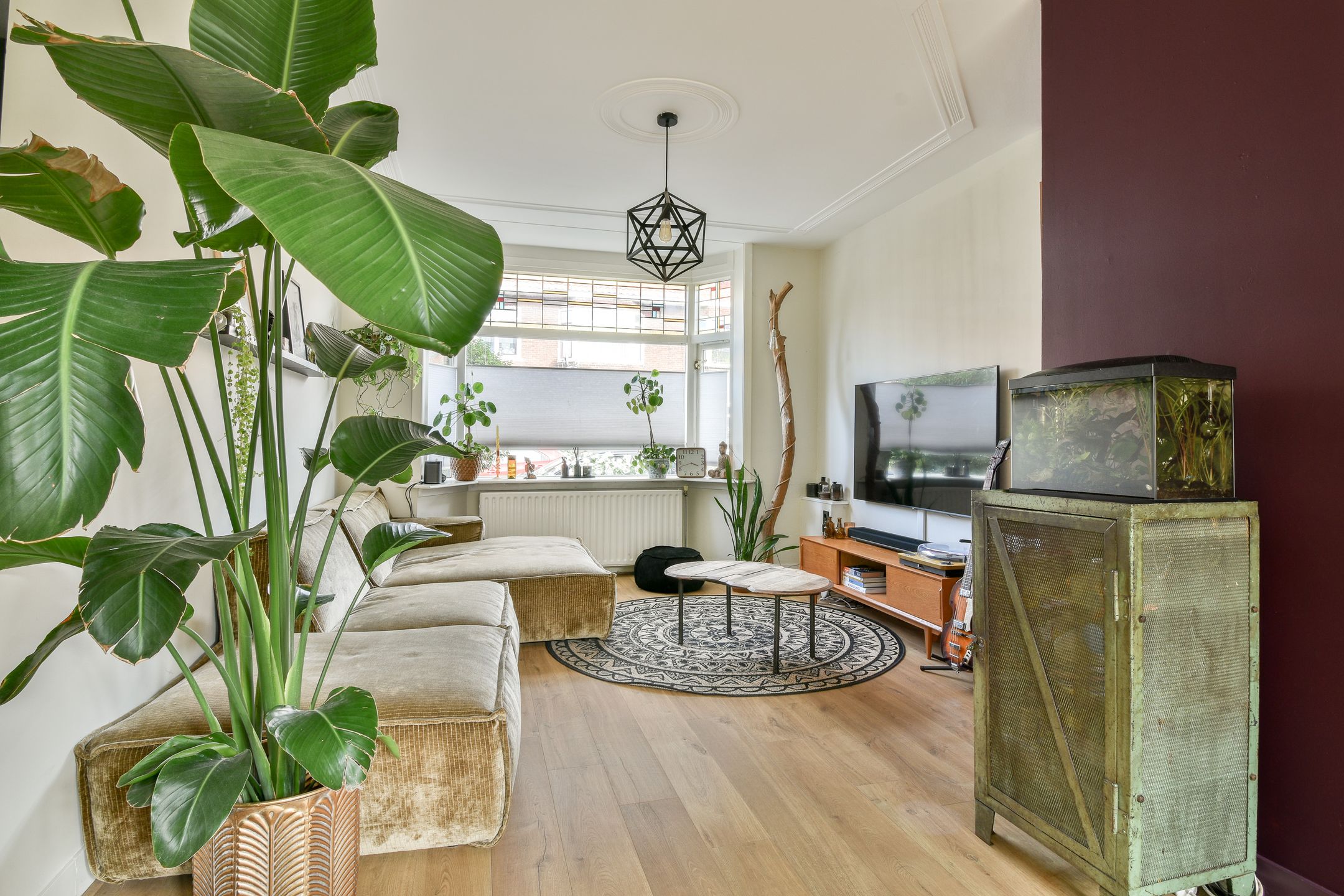 Foto 12 van Obrechtstraat 13