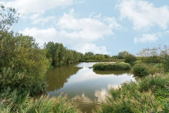 Foto 56 van Reefakker 9