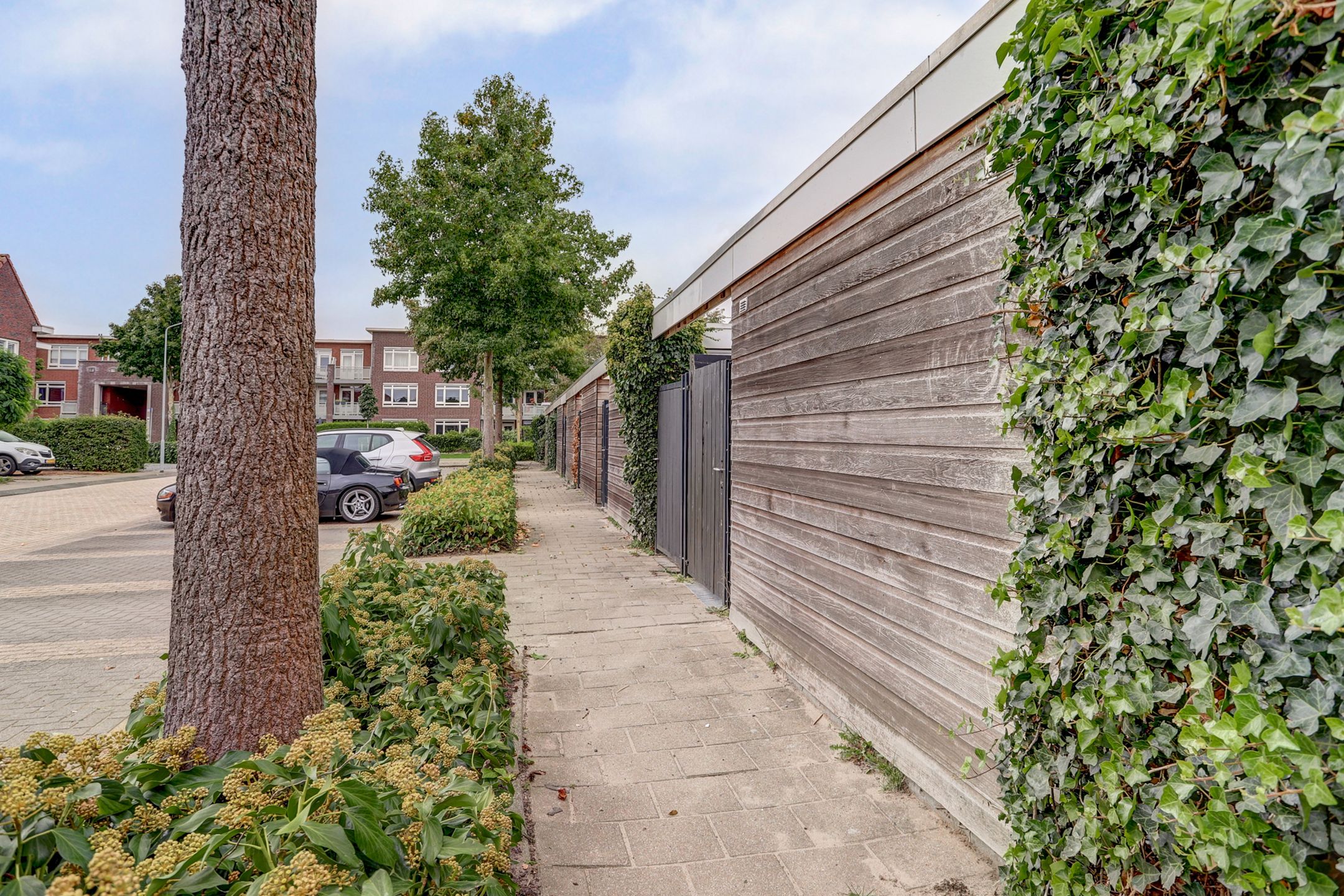 Foto 63 van Civitaspad 17