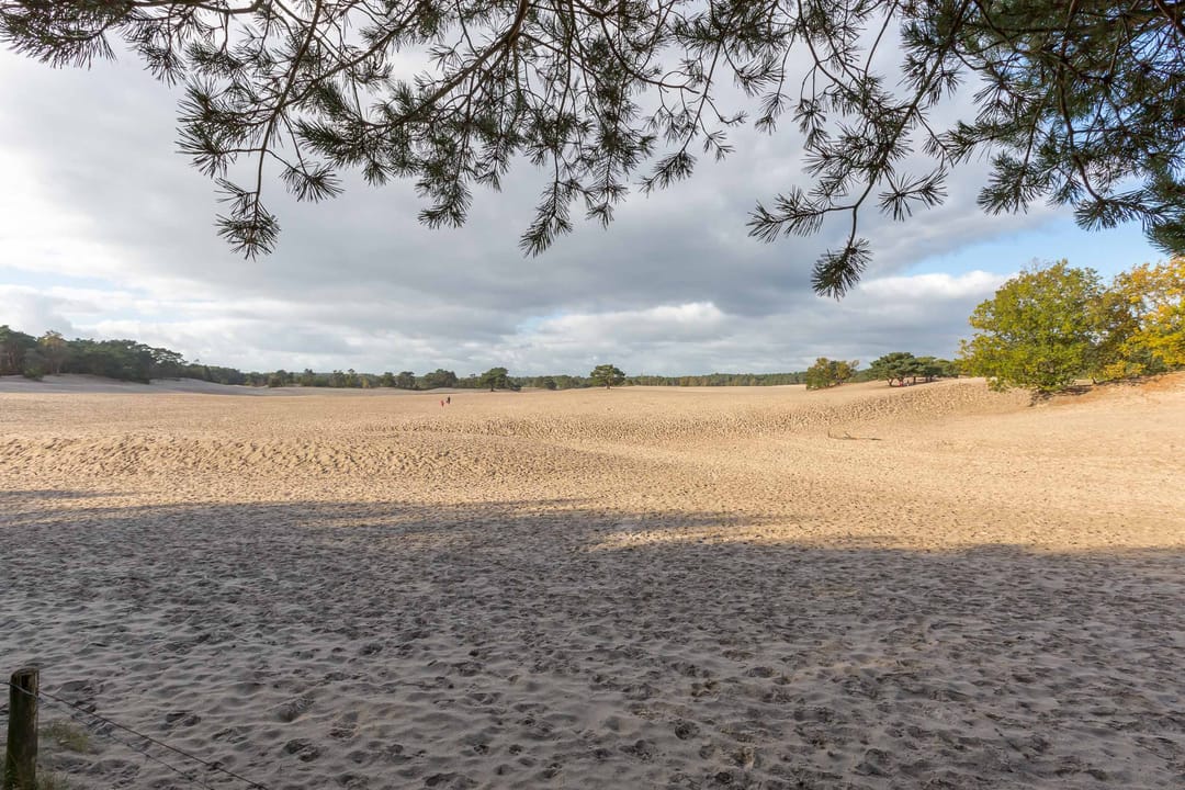 Foto 47 van Schoutenkampweg 80