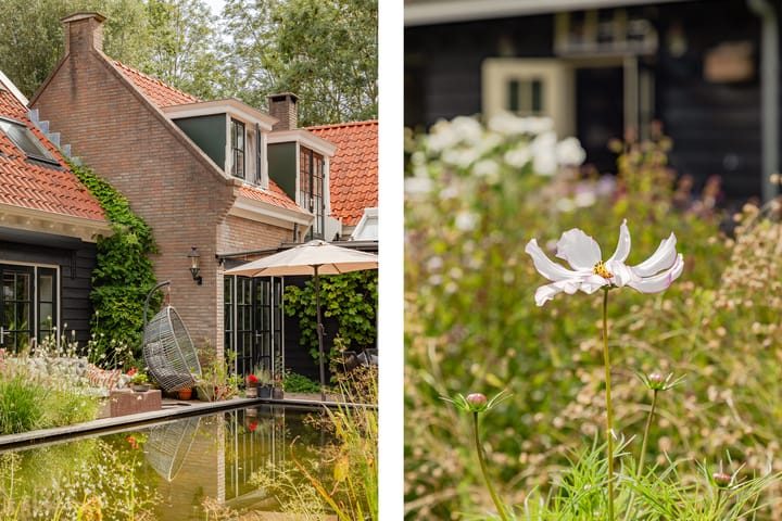 Photo 7 of Westerweg 23