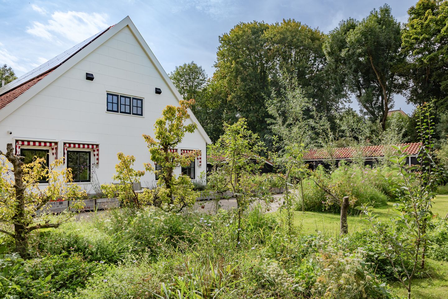Photo 44 of Westerweg 23