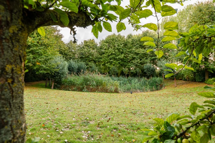 Foto 48 van Prinsendijk 11