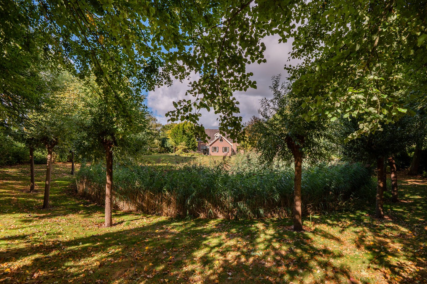 Photo 50 of Prinsendijk 11