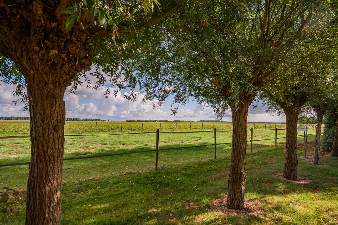 Photo 52 of Prinsendijk 11