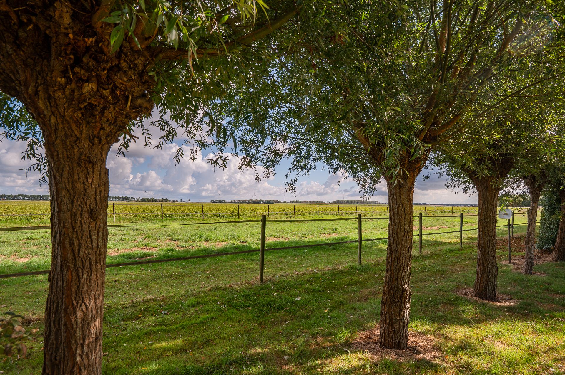 Photo 51 of Prinsendijk 11