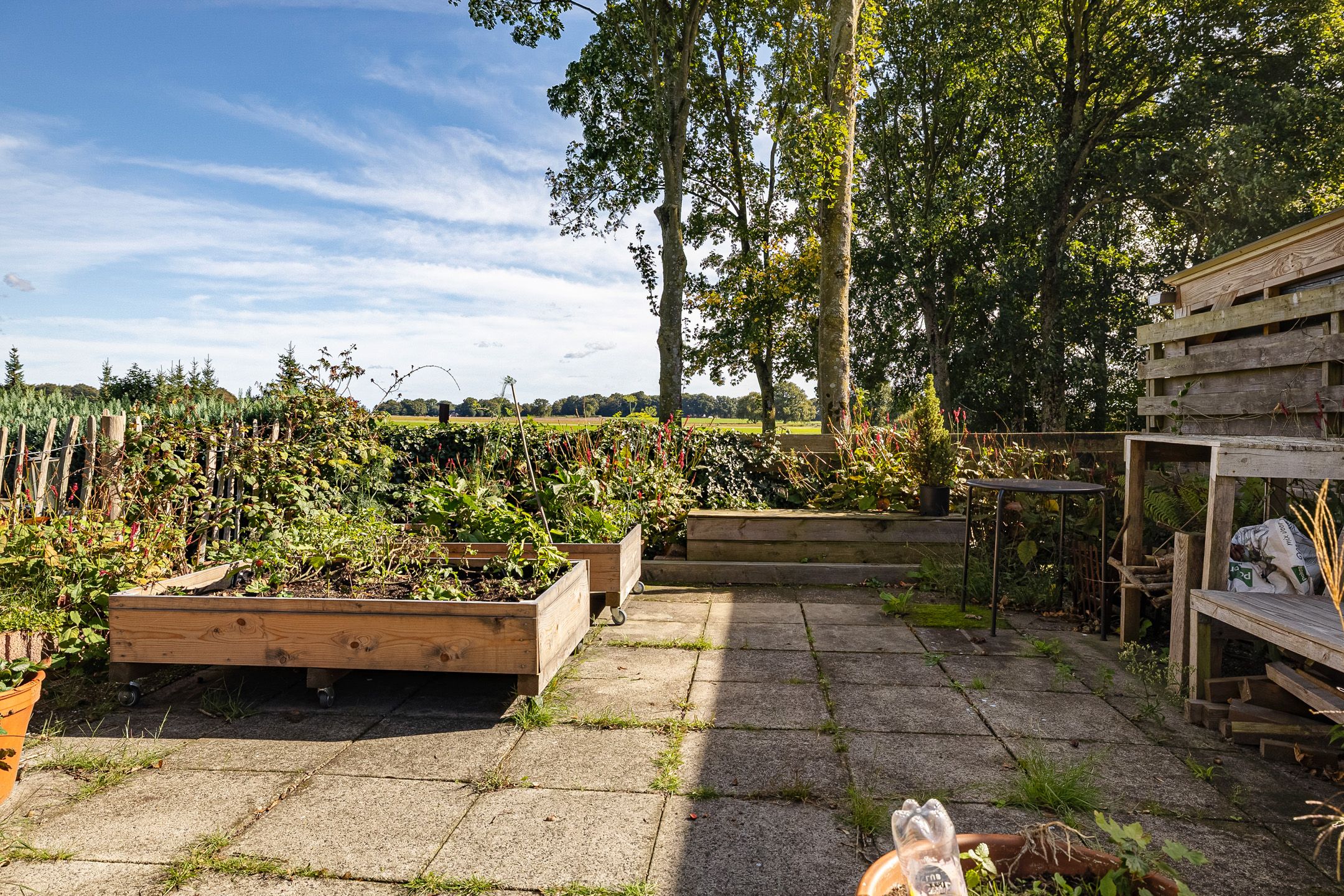 Photo 30 of Molenstraat 125