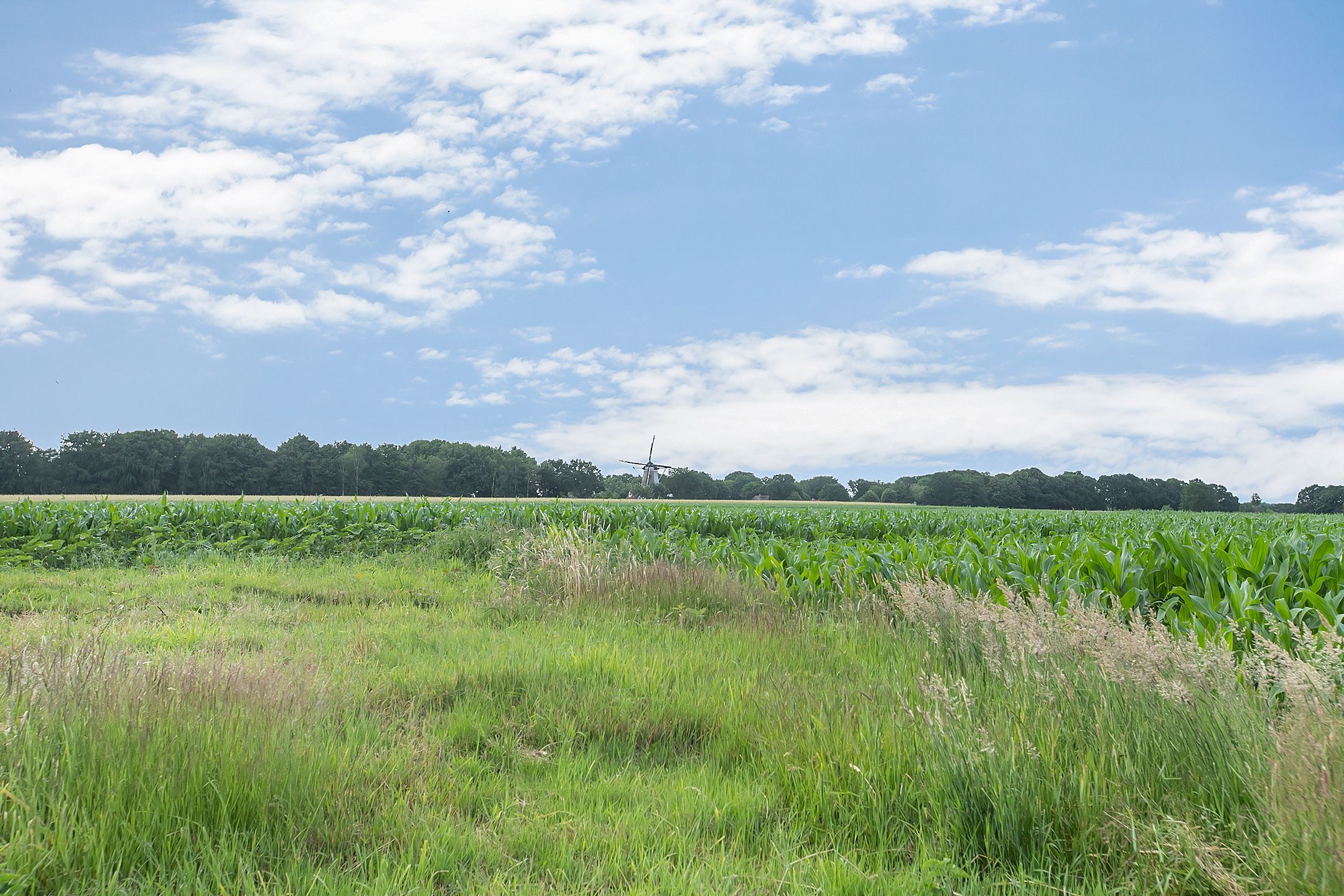 Photo 33 of Molenstraat 125