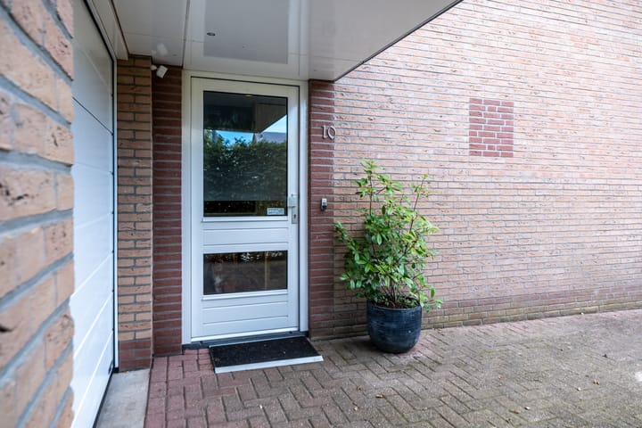 Foto 7 van Pinksterbloem 10