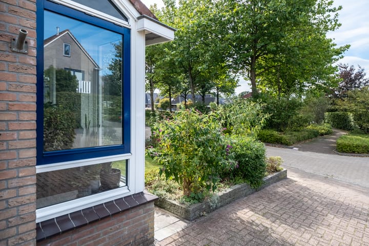 Foto 34 van Pinksterbloem 10