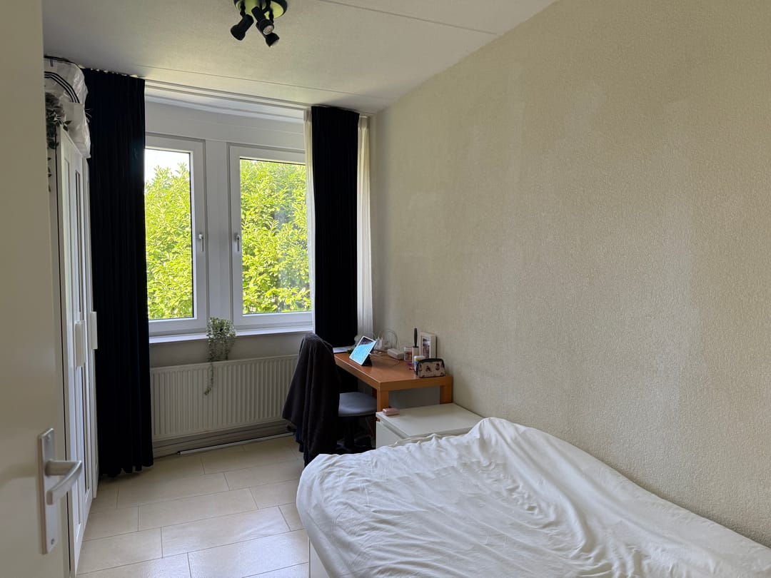 Foto 16 van Canadese Gans 43