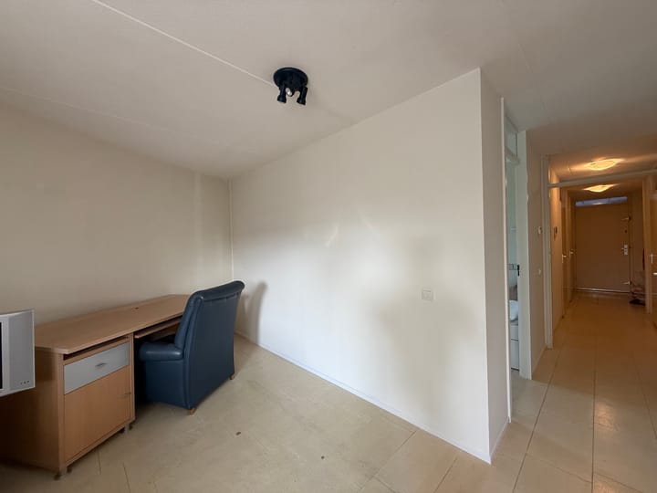 Foto 17 van Canadese Gans 43