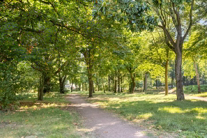 Foto 40 van Hintham 7